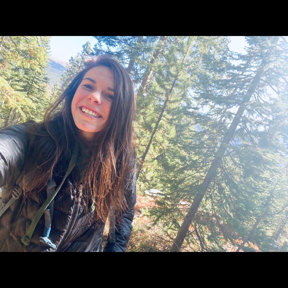 Meet your Posher, Sidney